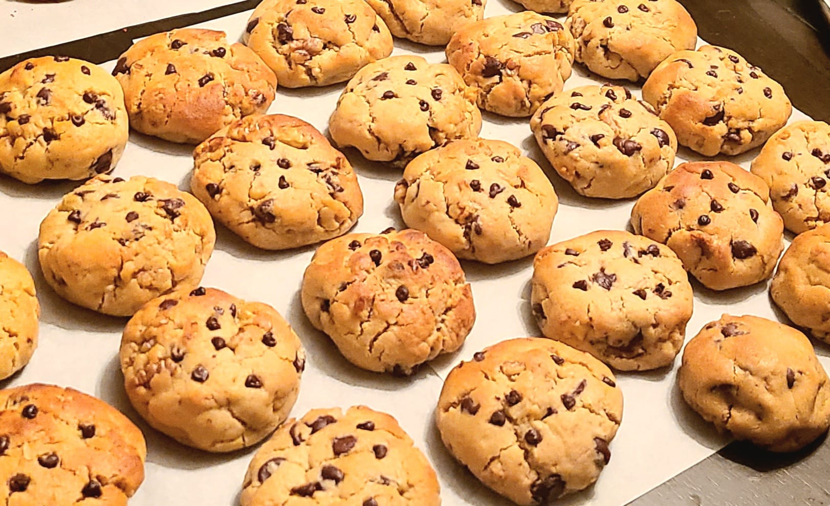 Chocolate-walnut-NYC-cookie